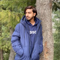 Syed Rameez Ali