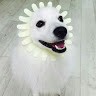 김창석