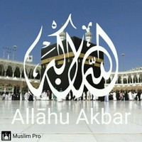 Naushad  Ali Siddiqui