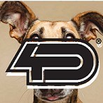 Israel Borrás Casanova