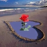 شحته عبد البصير عبد العزيز