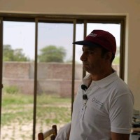Noman Gillani