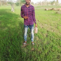 مصعب بريمه النوري