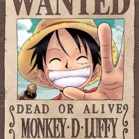 Luffy Monkey D.