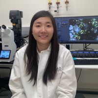 Wendy Wang