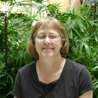 R. Catherine Lay