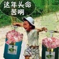 王浩己