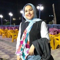 Nehal Mostafa