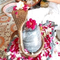 Om Prakash