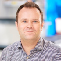 Matthias Schwab