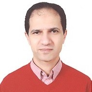 Ahmed Shoukry