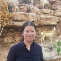 Liyin Lin