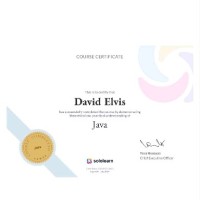 David Elvis