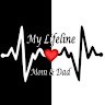 saleem sayyed