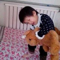 赵树龙