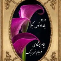 Hamid M