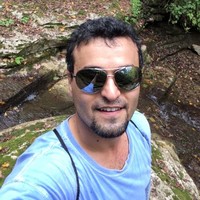 Ali Ansari