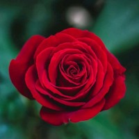 Rhythm N Soul Dance Academy