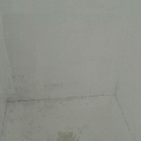 Patriotismo Blanco Rojo