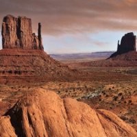 Fred Cogburn