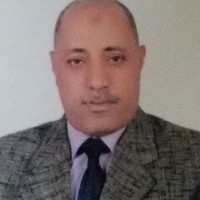 Abdel Nasser A. Mahmoud