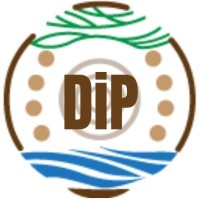 Development in Practice (DiP)