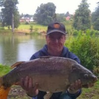 Stephen Worthington