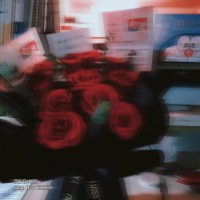 刘玉晴