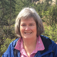 Carol Painter, EA, MBA, MS-Taxation