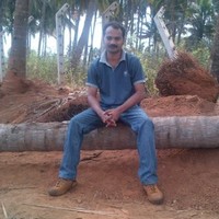 PRASAD WALVEKAR