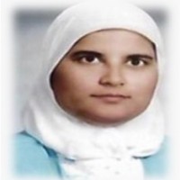 Shahinaz Abdel Razzak