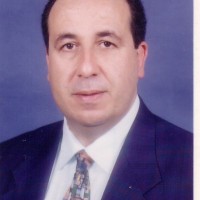 Alaa Ashour