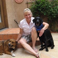 cathi basler