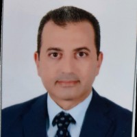 Hossam Hussein Ismail