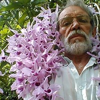 luis ramon maroño montero