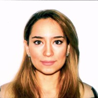 Suzan Dehbashi