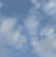 张梅珍