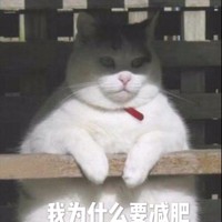 曾佳雨