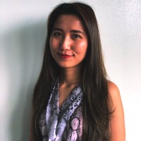 Nie Vo