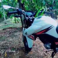 Junior Oliveira