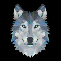 Dj Wolfpack