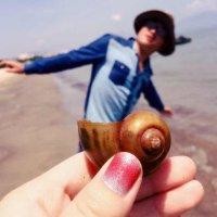 王博雅