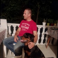 Domagoj Bogovic