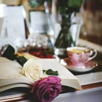 آلاء حمادة