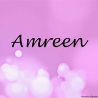 Amreen S.