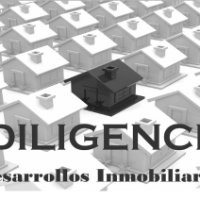 DILIGENCE Desarrollos Inmobiliarios