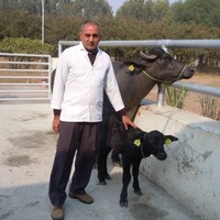 Prem Yadav