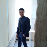 Amr El-Ziny