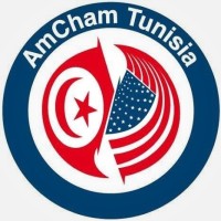 Tijani Smidi