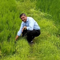 Shashank Kadulkar